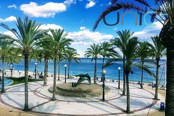 Kommersiell bygning - Resale - Albir - 2185