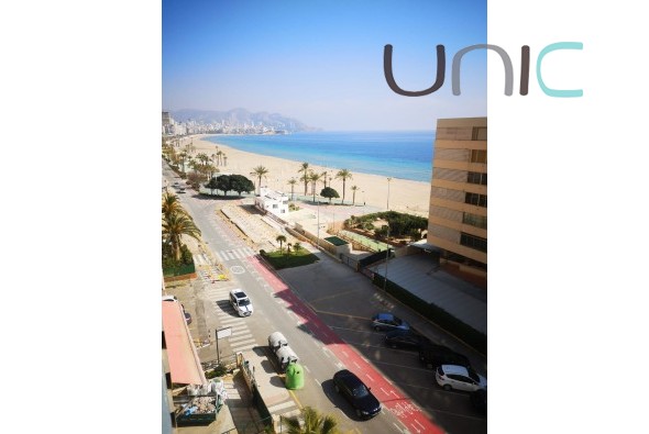 Long time Rental - Apartment - Benidorm