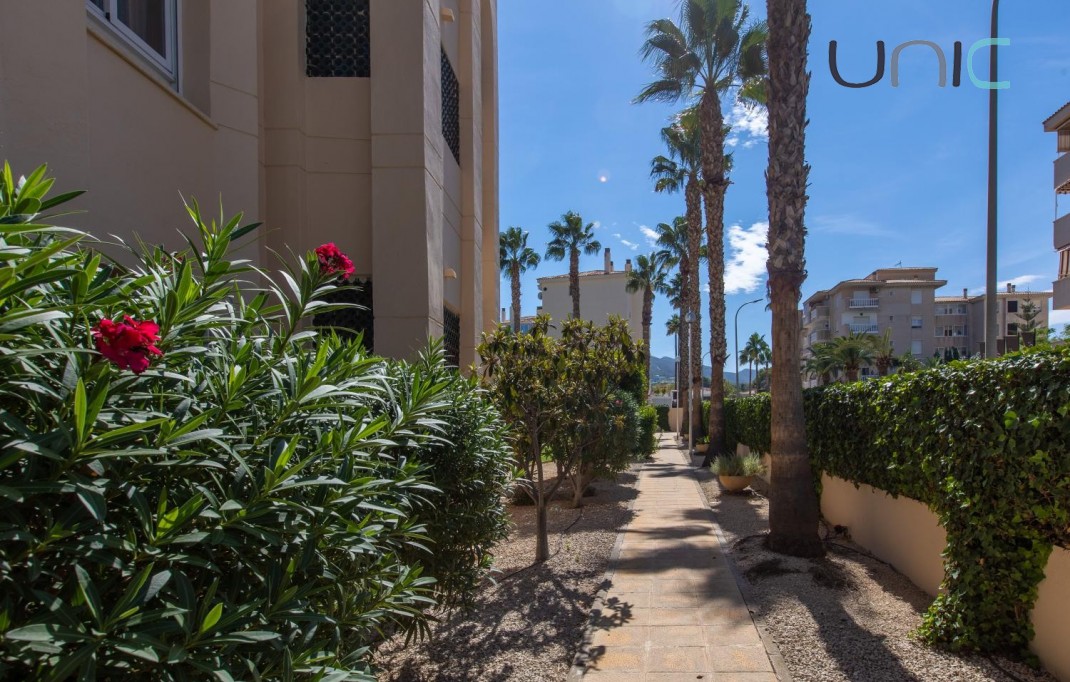 Sale - Apartment - Albir