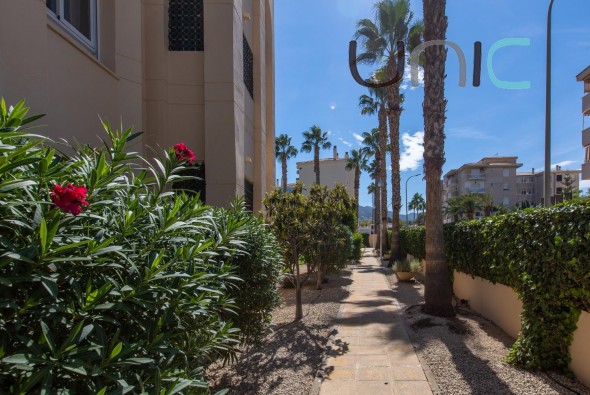 Resale - Appartement - Albir