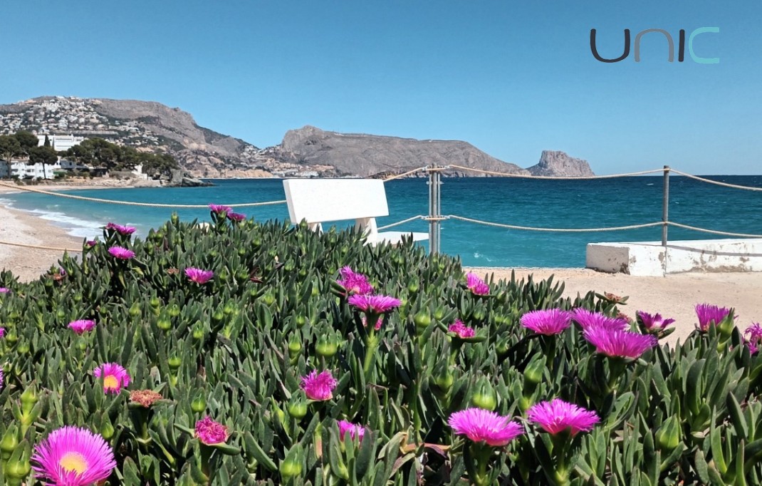 Resale - Apartment / flat - Altea