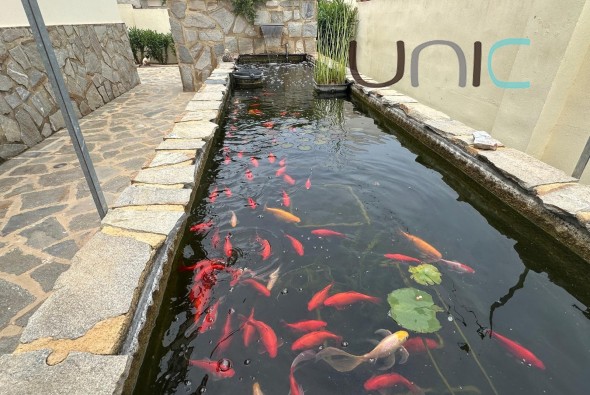 Resale - Villa - Albir