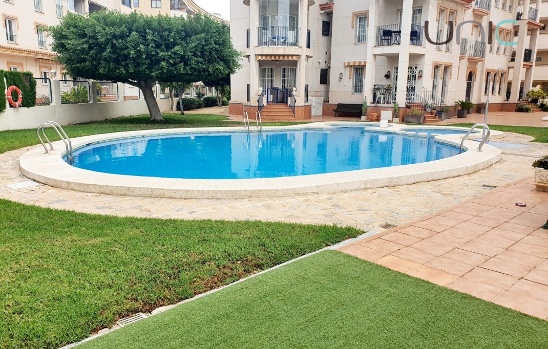 Long time Rental - Apartment - Albir
