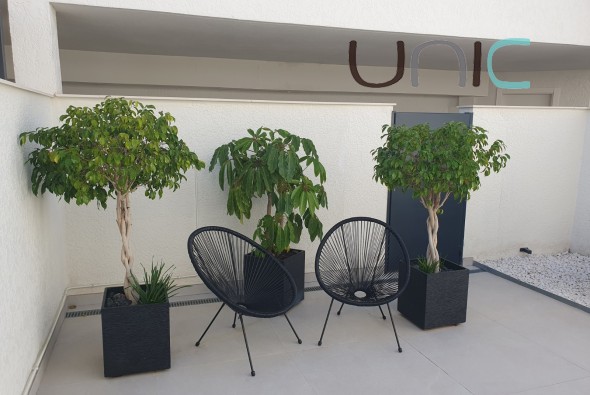 Resale - Reihenhaus - Albir