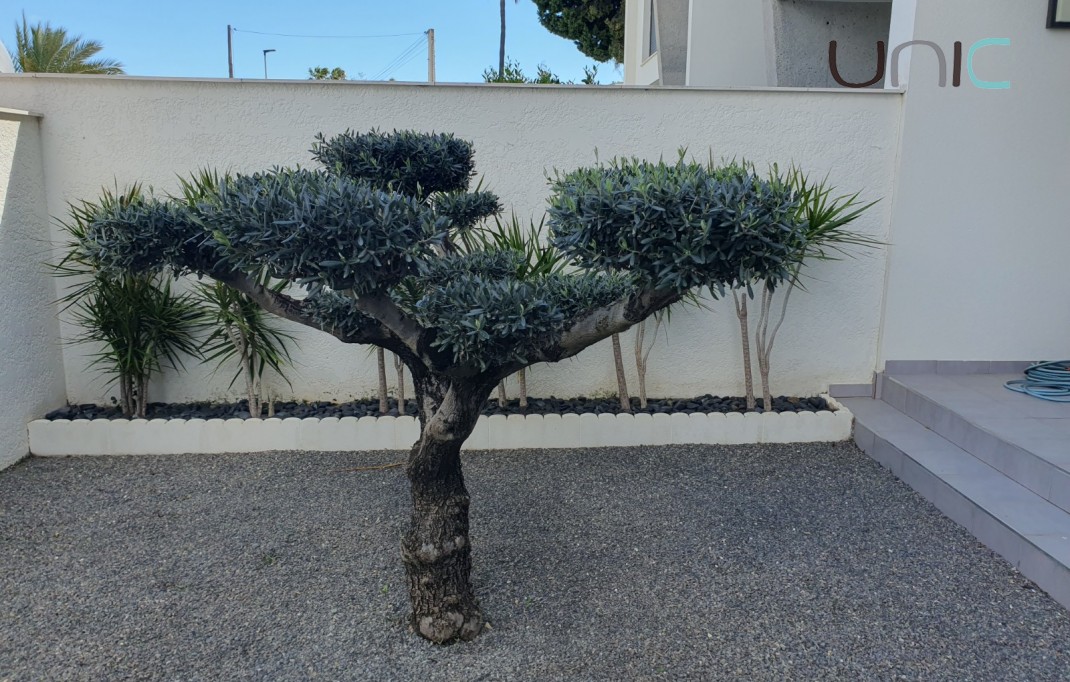 Resale - Reihenhaus - Albir