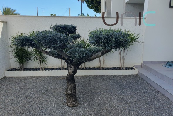 Resale - Reihenhaus - Albir