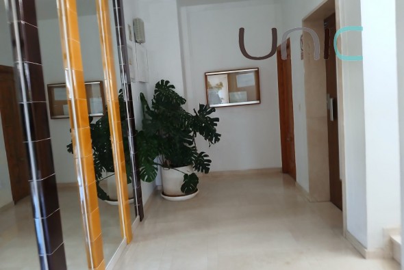 Sale - Apartment - Albir